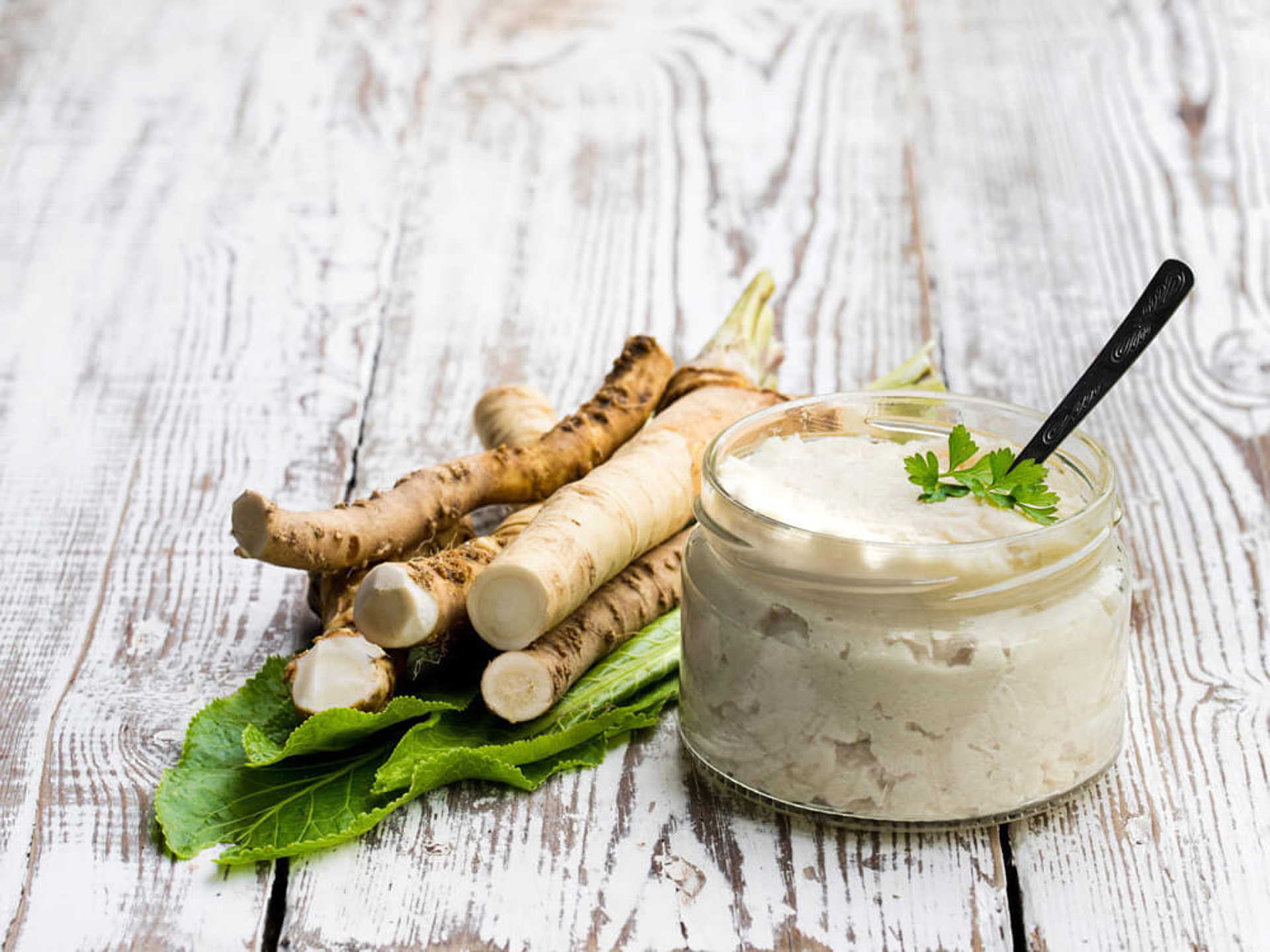 ASMO KÜCHEN Obst und Gemüse Meerrettich