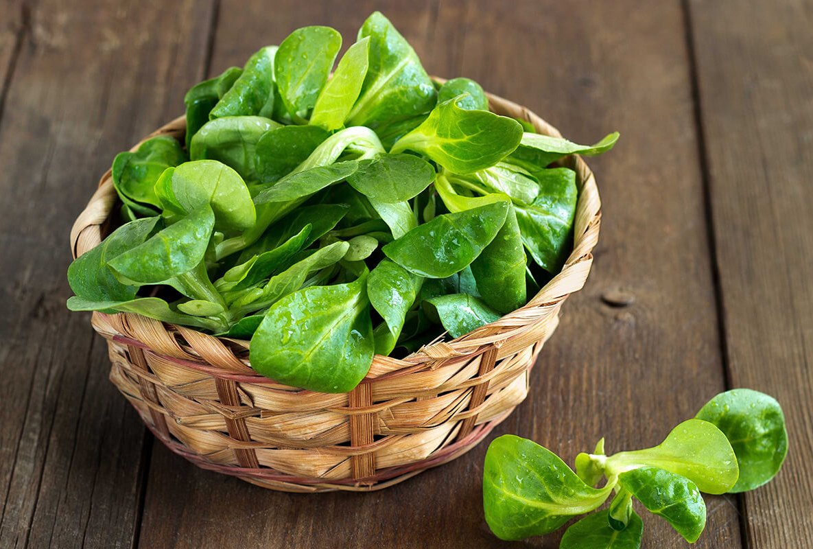 ASMO KÜCHEN Obst und Gemüse Feldsalat