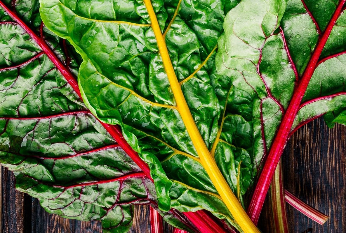 ASMO KÜCHEN Obst und Gemüse Mangold