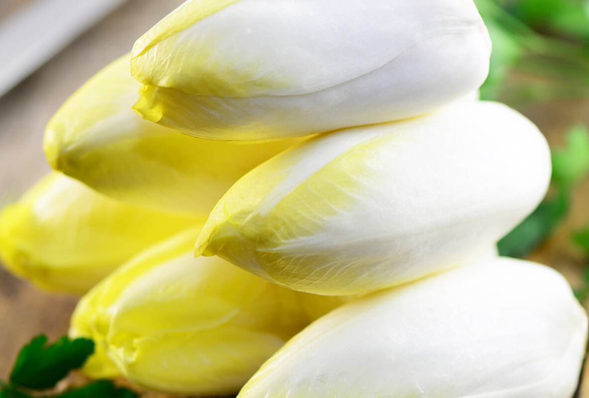 ASMO KÜCHEN Obst und Gemüse Chicorée