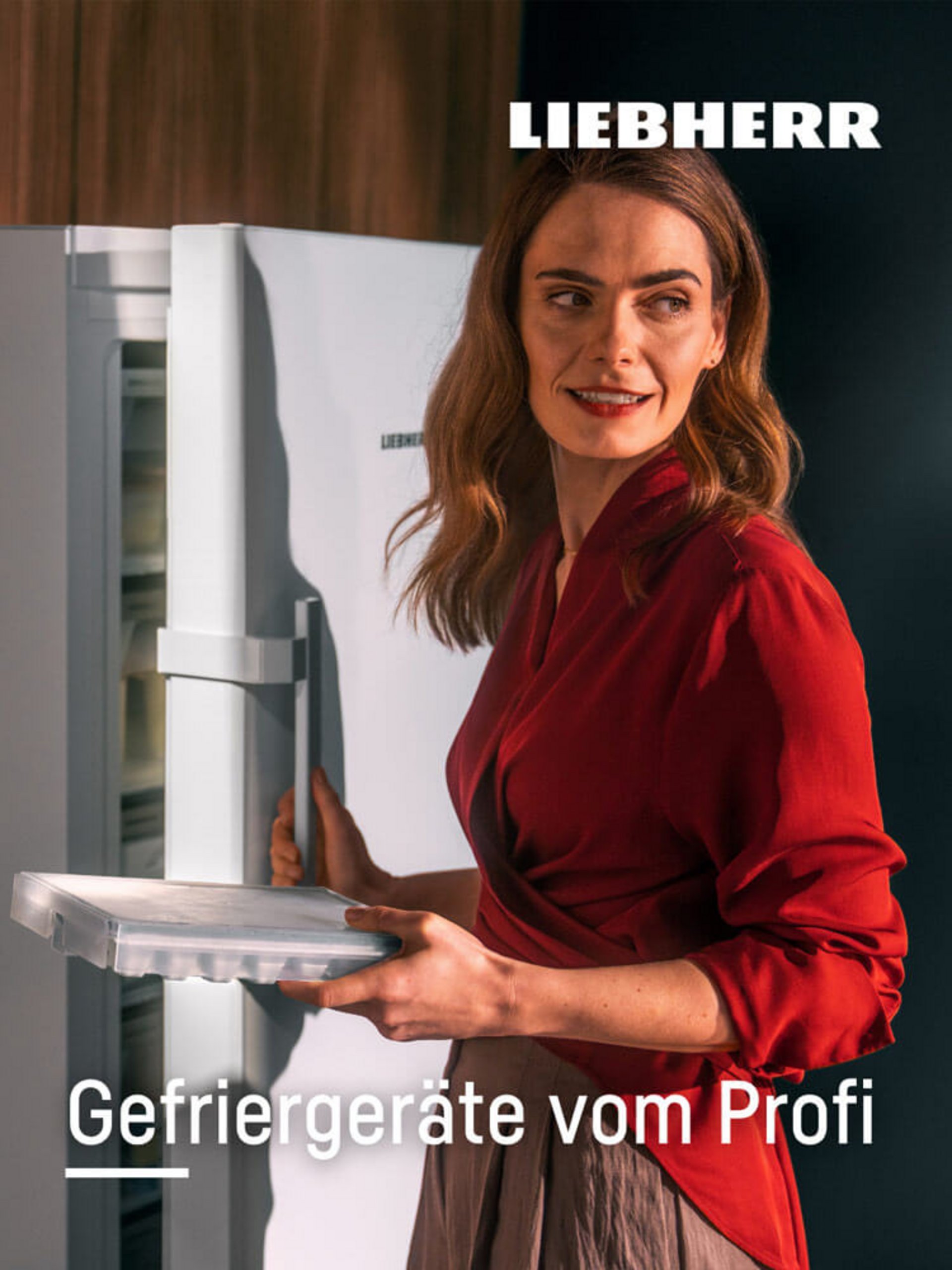 Liebherr Gefriergerät – energieeffizient & leise, ideal für offene Küchen