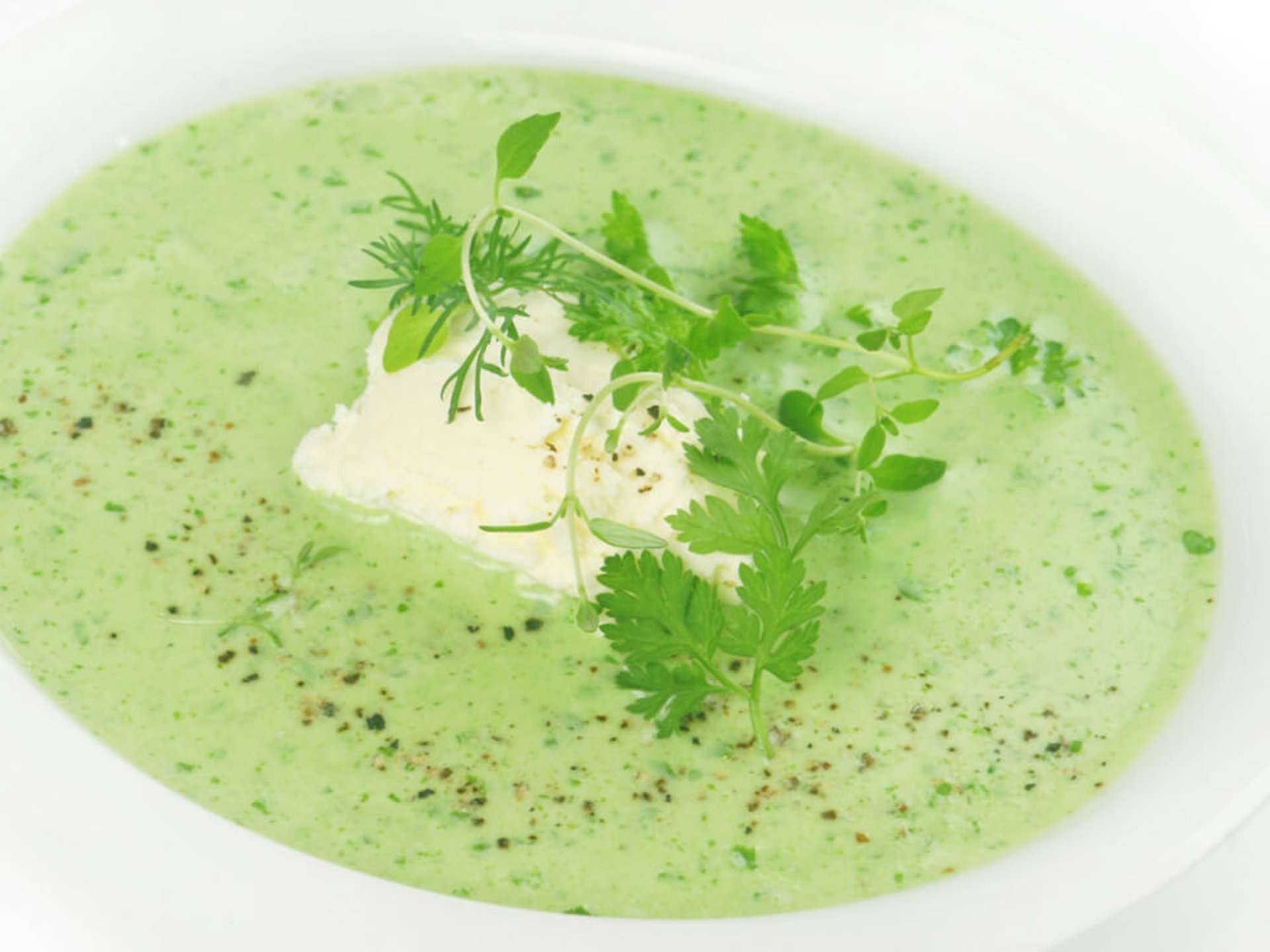 ASMO KÜCHEN Obst und Gemüse Kerbel