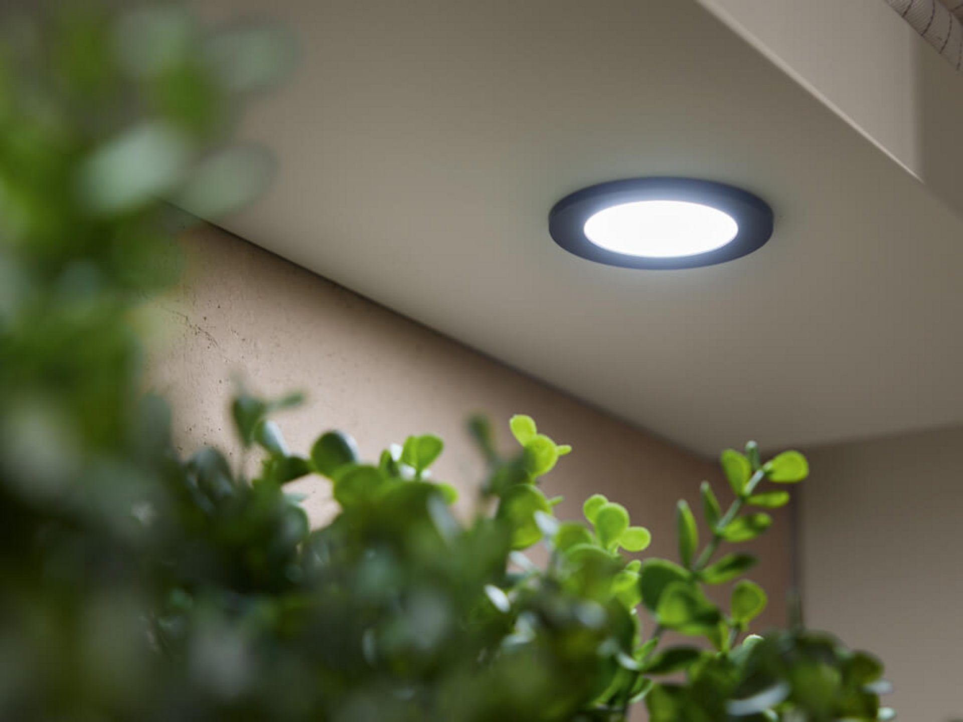 Integrierte LED-Spots für Arbeitsplatzbeleuchtung und Lichtplanung in der modernen Landhausküche