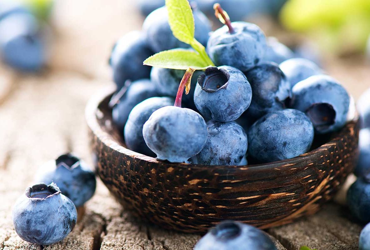 ASMO KÜCHEN Obst und Gemüse Blaubeeren - das Superfood