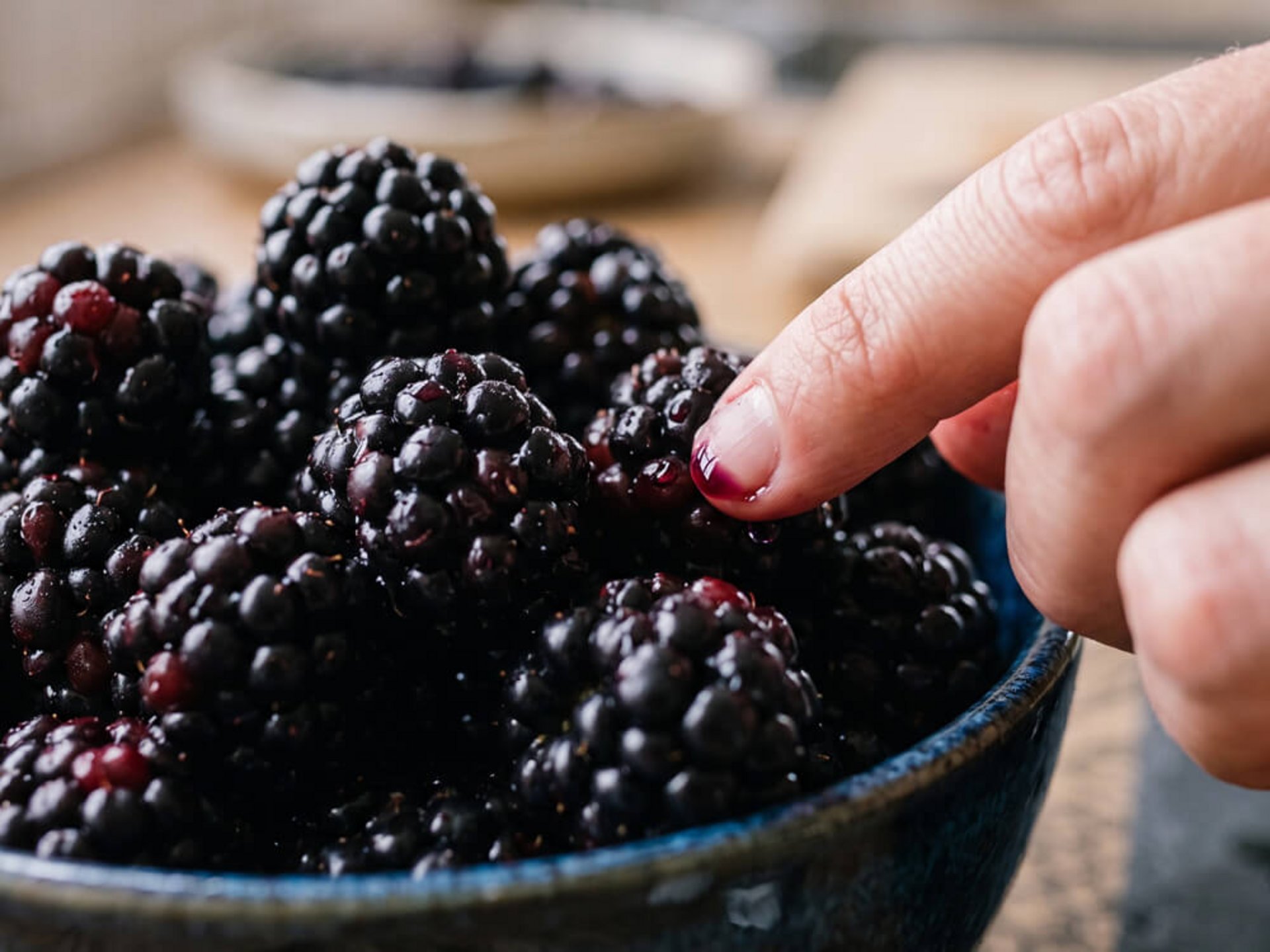 Reife dunkelviolette Brombeeren werden in der Hand gehalten und auf ihre Qualität geprüft