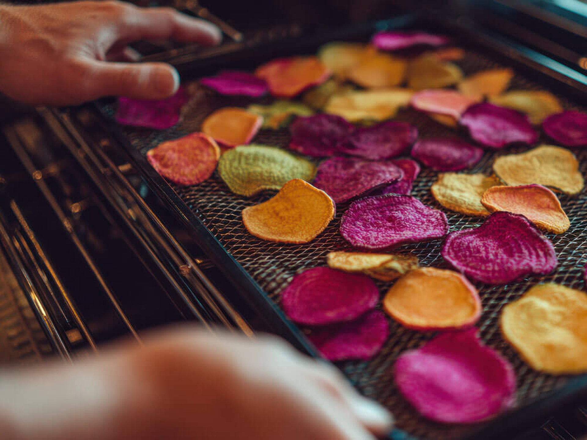 Gemüsechips im Ofen – Backblech mit bunten Scheiben aus Roter Bete und Süßkartoffel wird in den Ofen geschoben