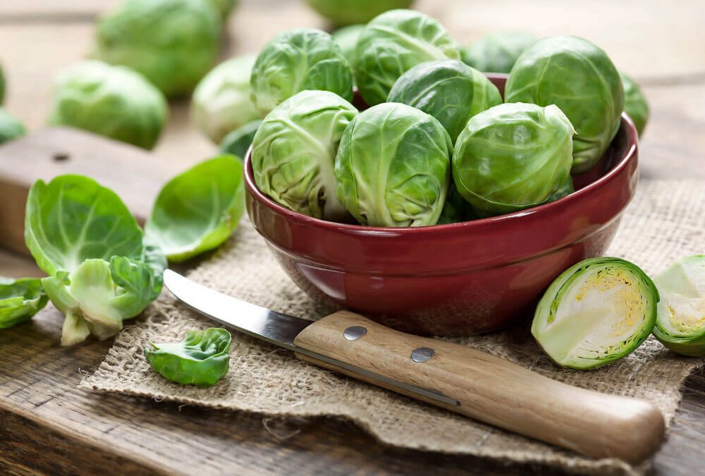 Leuchtend grüner Rosenkohl als Wintergemüse – Rosenkohl Gesundheit und natürliche Nahrungsergänzung aus Gemüse