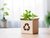 Jungpflanze in recycelter Verpackung als Symbol für nachhaltige Küchenplanung