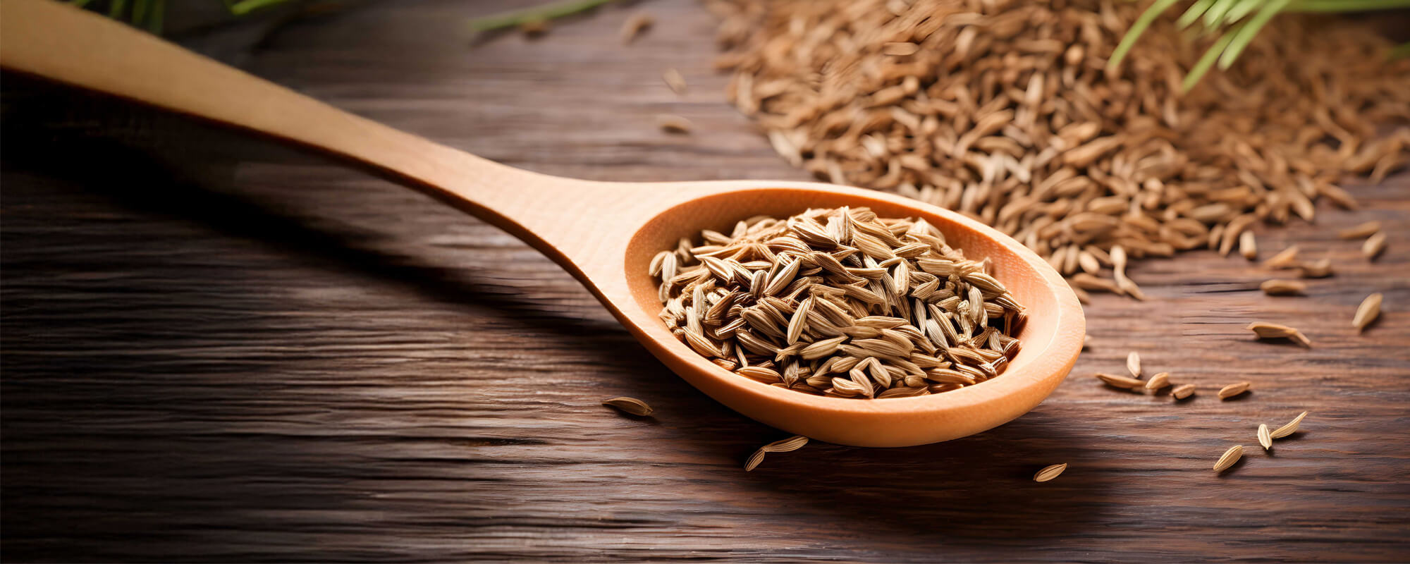 Löffel mit Gewürzsamen Kreuzkümmel Zutat